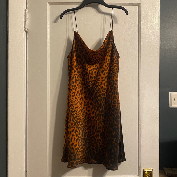 Zara leopard print slip dress size small - Picture 1 of 3